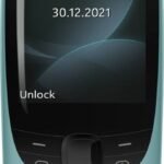 Nokia 6310 Dual SIM Feature Mobile, Wireless FM Radio and Rear Camera (Blue)