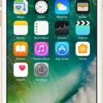 Apple iPhone 6 (Gold, 32 GB)