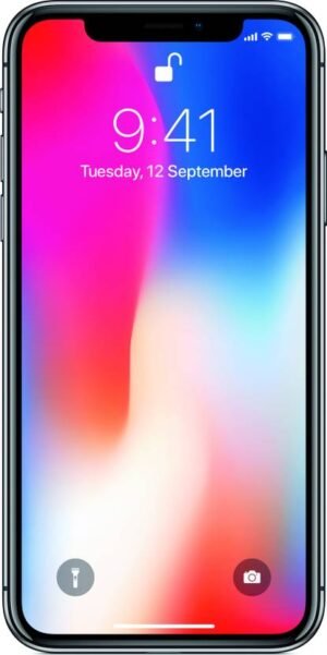 Apple iPhone X (Space Gray, 256 GB)