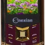 Snexian Bold V1 (Maroon)