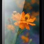 LAVA Iris 356 (Grey, 150 MB) (256 MB RAM)