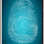 Micromax Canvas 6 (Champagne, 32 GB) (3 GB RAM)