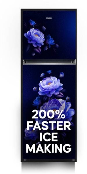 Haier 240 L Frost Free Double Door 2 Star Refrigerator (Marine Blossom, HEF-252IEMF-P)