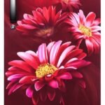 Haier 215 L Direct Cool Single Door 5 Star Refrigerator with Base Drawer (Red Hilton, HED-225RHB-P)