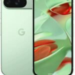 Google Pixel 9 (Wintergreen, 256 GB) (12 GB RAM)
