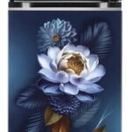 LG 272 L Frost Free Double Door 2 Star Convertible Refrigerator with Smart Inverter Compressor and Multi Air Flow (Blue Waterlily, GL-S312SBWY)