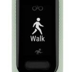 GARMIN Vivosmart 5 (Cool Mint Strap, Size : Large)