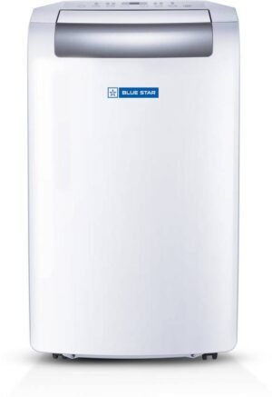 Blue Star 2020 Model 1 Ton Portable with Multi Sensors, Self Diagnosis Hydrophilic Gold Fins for Protection AC (PC12DB, White, Grey)