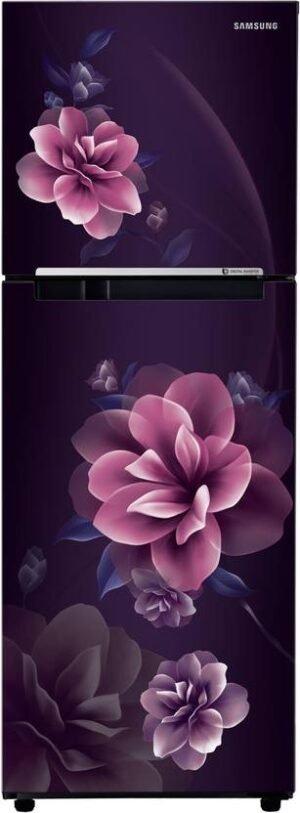 Samsung 236 L Frost Free Double Door 2 Star Refrigerator (Camellia Purple, RT28C3022CR/NL)
