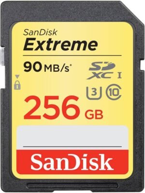 SanDisk SDSDXV5-256G-GNCIN Extreme 256 GB SDXC Class 10 100 MB/s Memory Card Compatible with Camera, Computer
